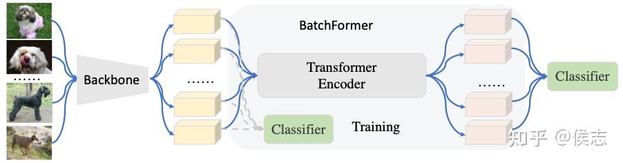 BatchFormer: 一种简单有效、即插即用的探索样本关系通用模块 (CVPR2022) - 知乎