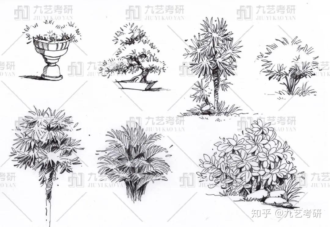 「环艺景观篇i」景观植物手绘基础&手绘线条