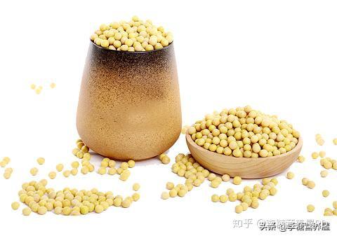 v2-ac03afbc480a280ffaa9a72bf16bf3d2_r.jpg