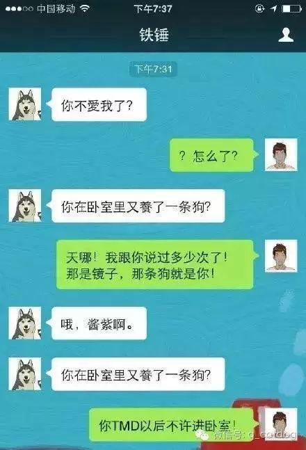 如果二哈能陪你聊天这聊天记录看不下去了
