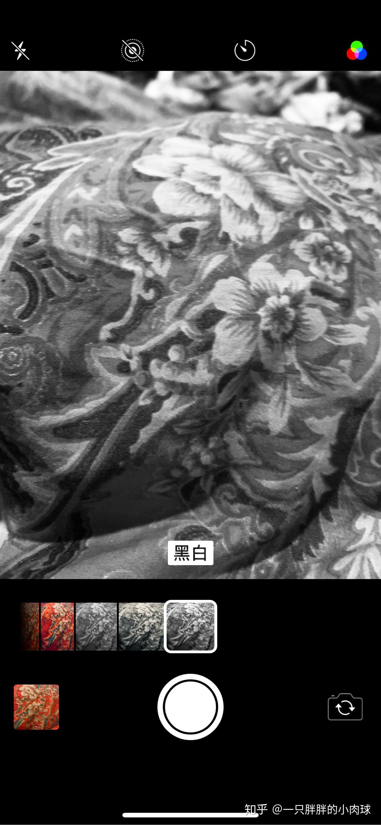 有什么软件可以把照片变成黑白的