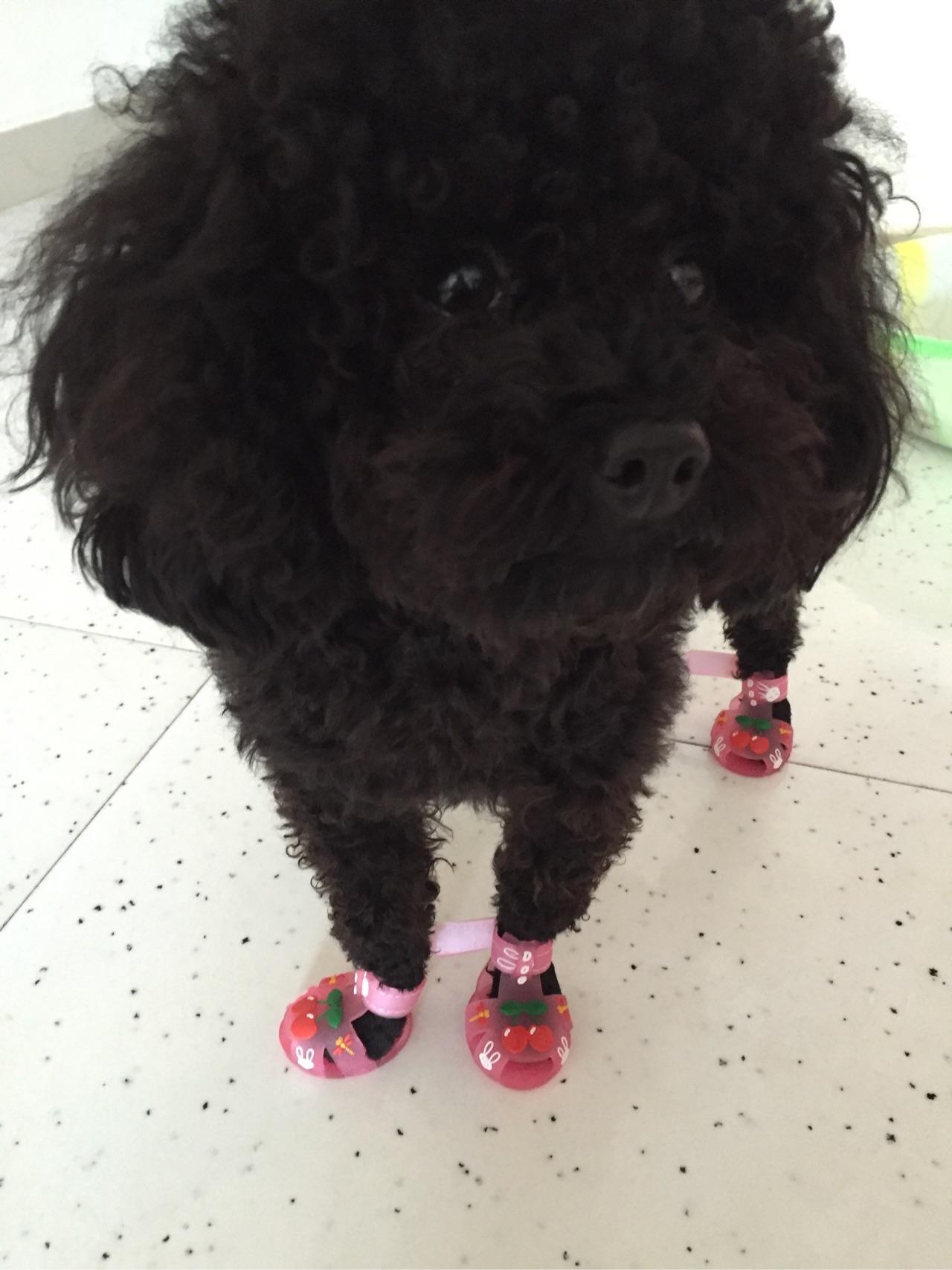 现在开淘宝店铺该如何宣传推广?新店铺一片迷