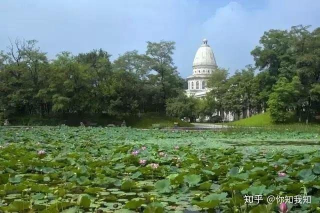 沈阳城市学院好吗,学费大概多少?
