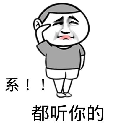 猫小白