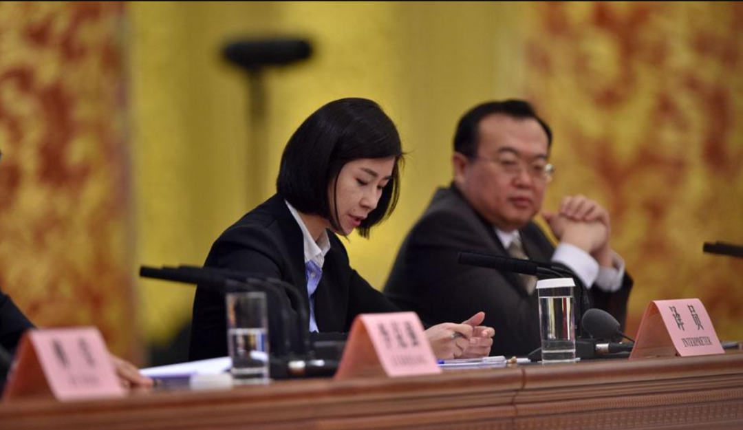 总理"御用翻译"张璐,升职了,官职真不低!