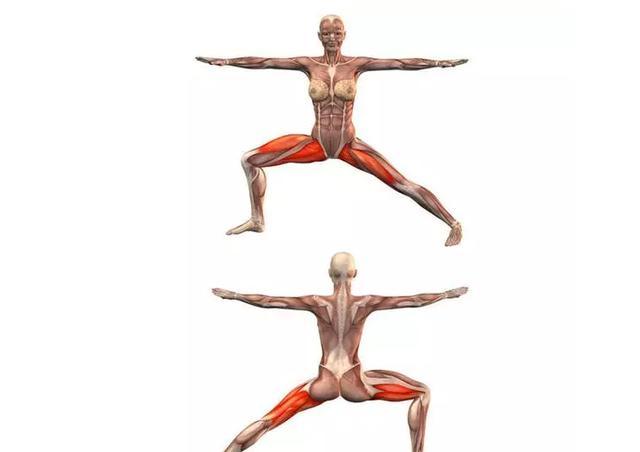 瑜伽体式精讲战士二式