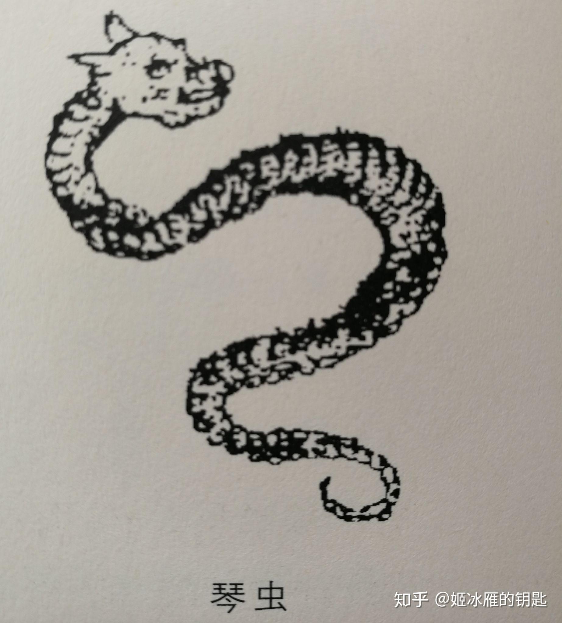 为了给我家新来的喵主子起名,我翻遍了山海经的神兽(卷十六——卷十八