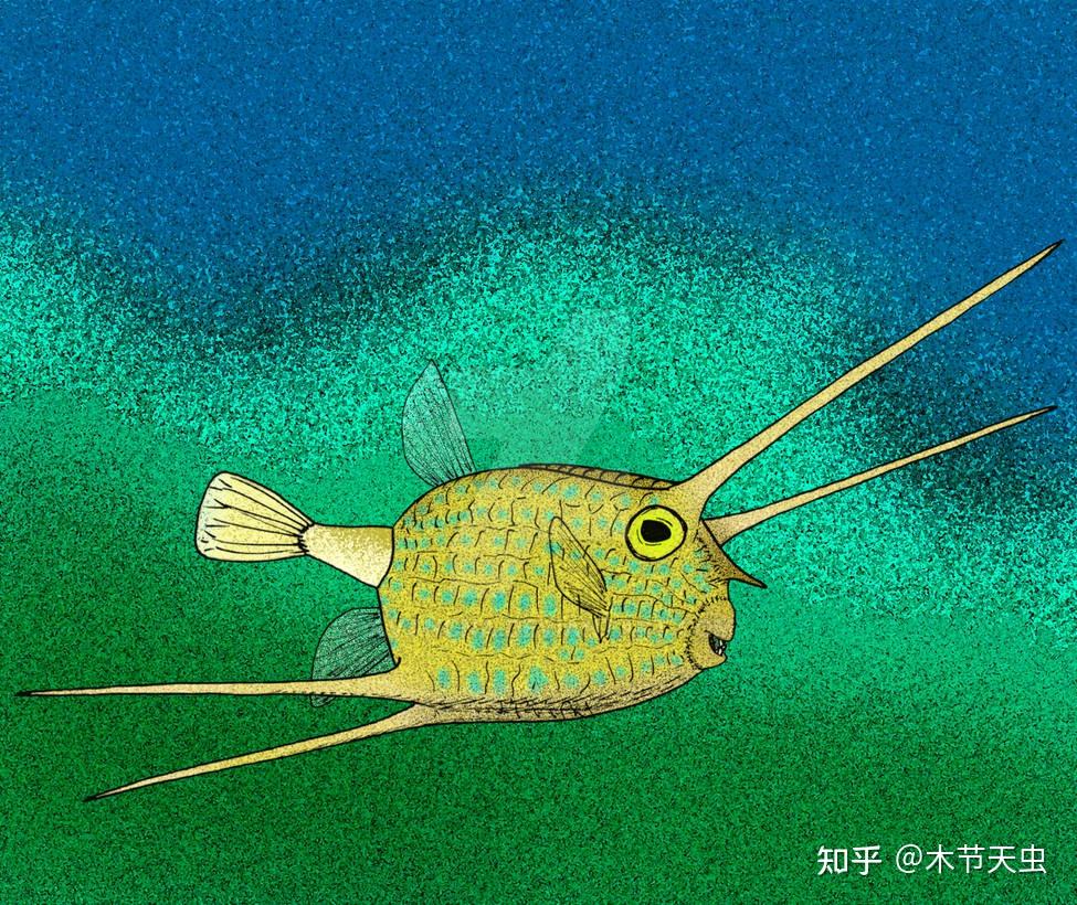 【鲀形目的演化史·其一】刺鲀,箱鲀,河鲀,鳞鲀 - 知乎