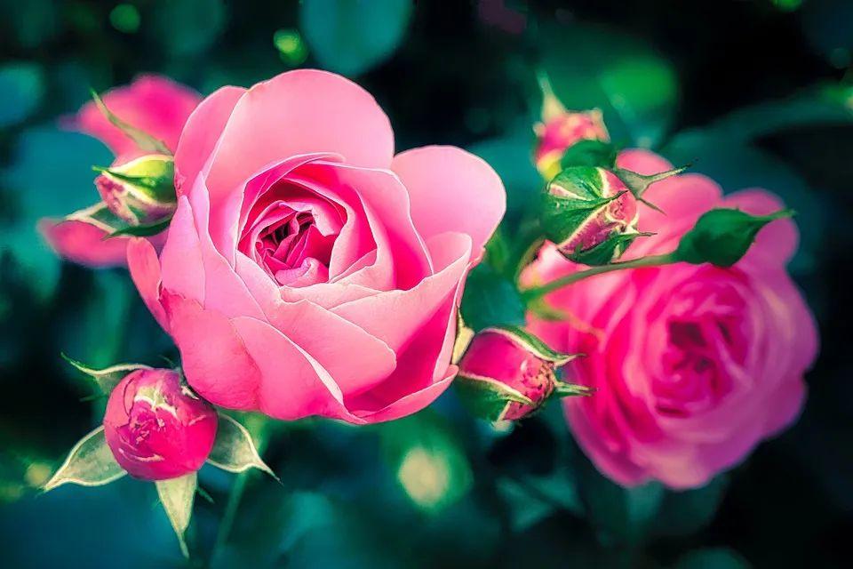 2021年最新非常阳光早安问候语创意又美好的早上好图片大全带字合集