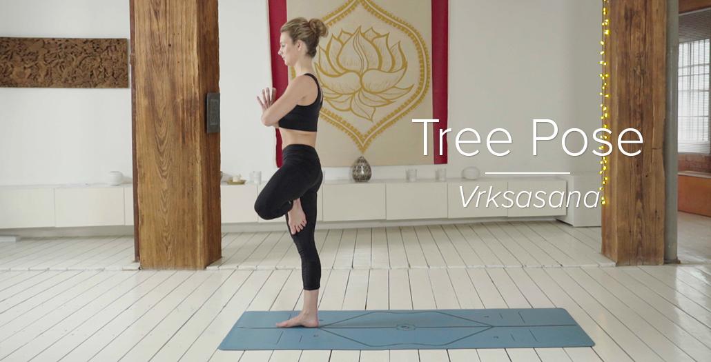 跟我学瑜伽 | 树式Vrksasana - 知乎