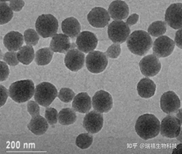 Tio2 介孔 TiO2-SiO2 NPs二氧化钛-二氧化硅纳米粒子/钯中空介孔纳米二氧化硅Pd@HMSNs的制备 - 知乎