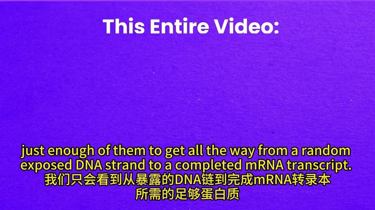 彻底解密DNA转录与mRNA剪接:动画揭秘生物学奥秘 - 知乎