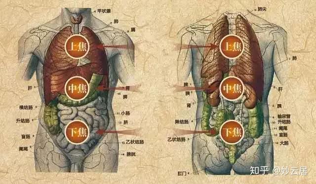 妙云居.三焦守护健康 - 知乎