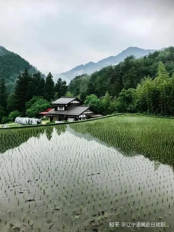 禁止餐饮浪费 讲究节俭的日本居然是个 粮食浪费大国 知乎