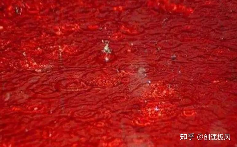 水池血的照片图片