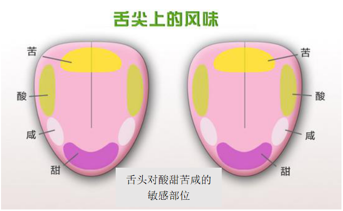 除了接吻,你还能这样训练自己的舌头 - 知乎