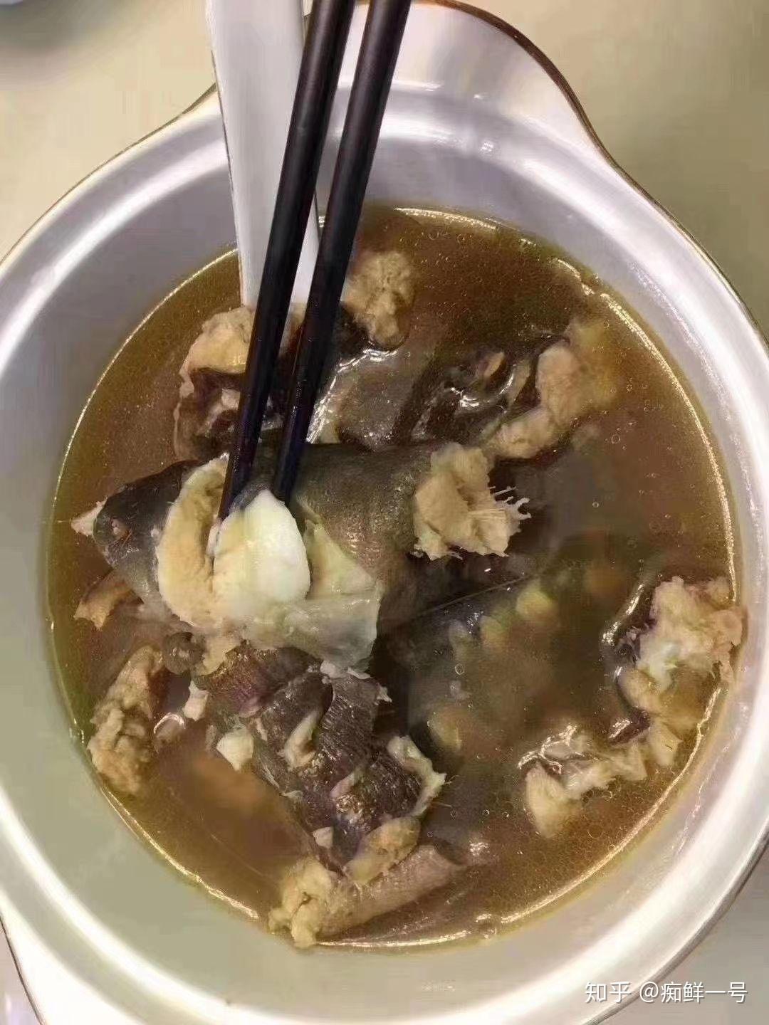 土龙药膳土龙炖汤做法分享＃东山岛海鲜 - 知乎