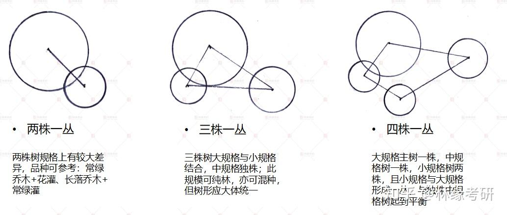 植物组团设计图解图片