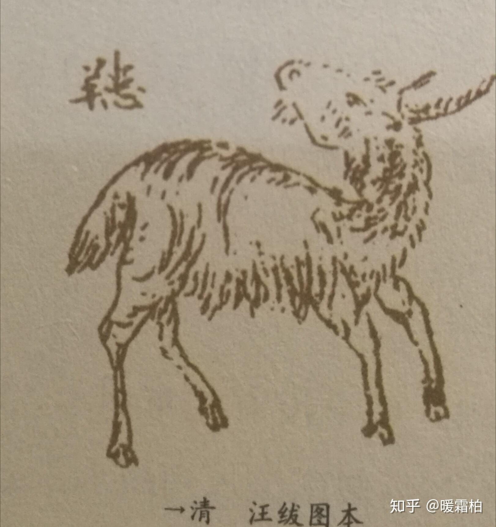 山海经物种摘录-南山经-南次二经 - 知乎