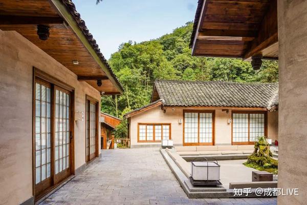 探寻青城山秘境|宿仙谷,开启人文度假新体验 - 知乎
