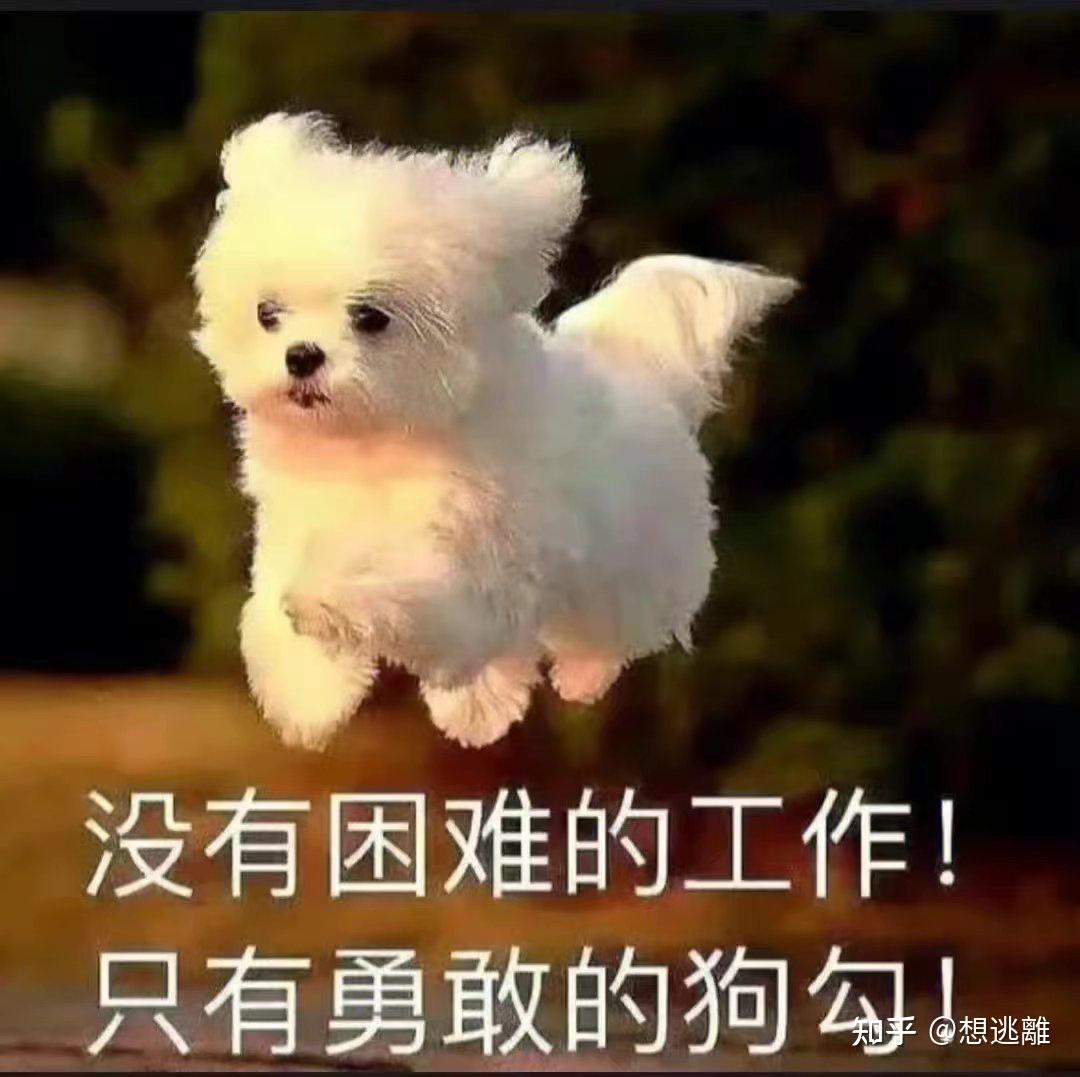 斗图必备搞笑表情包|啊对对对 你说的都对 - 知乎