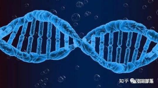 科普 | 生命科学:生物体内的