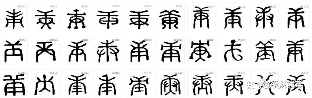 详解十天干字义 - 知乎