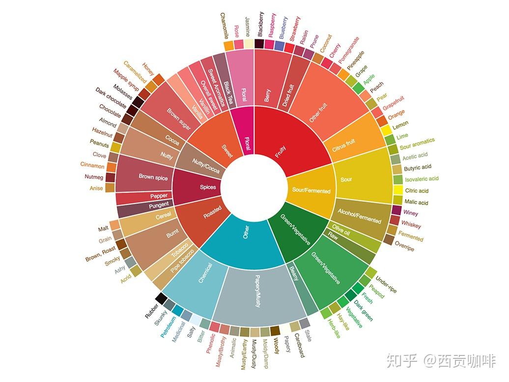 咖啡风味轮你了解多少