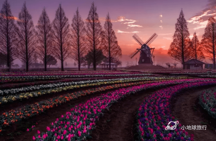 每个姑娘都要去的法国香水小镇格拉斯法国小众旅行攻略