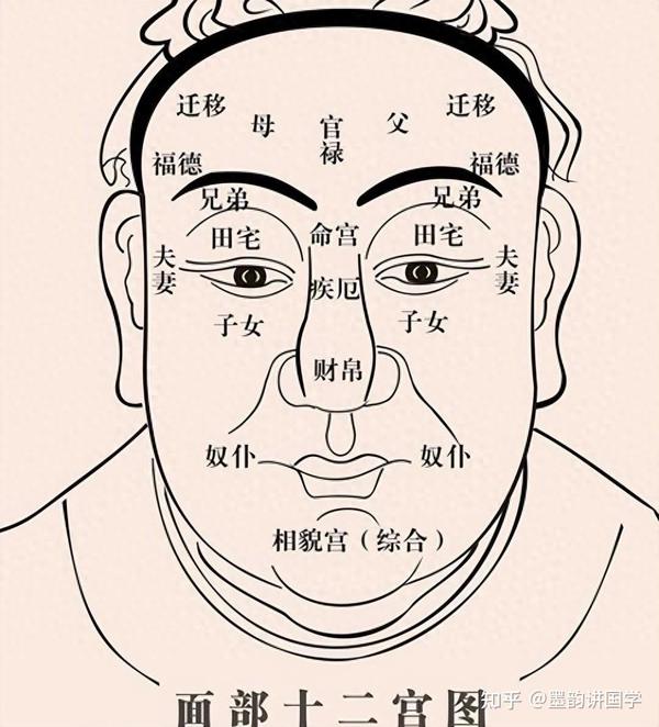 五官面相中隐藏着什么秘密?赶紧点赞收藏起来! - 知乎