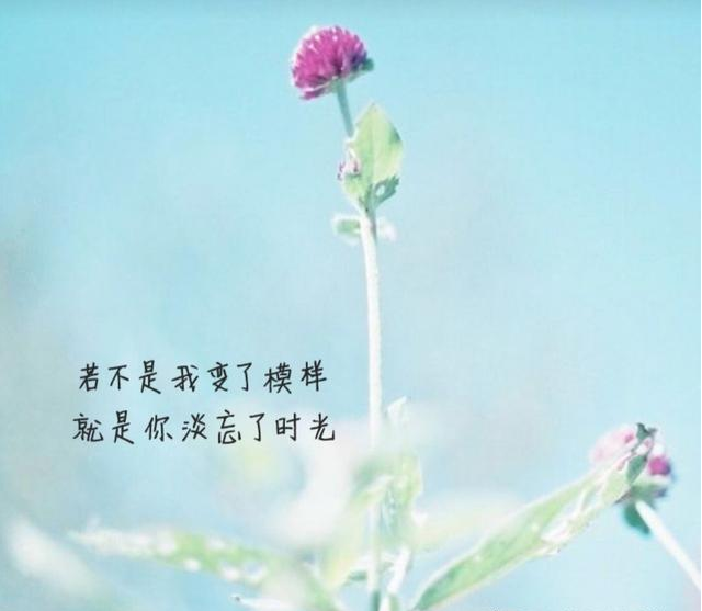 v2-ad2468f3df465d1b5ddc709a76b2a0be_r.jpg