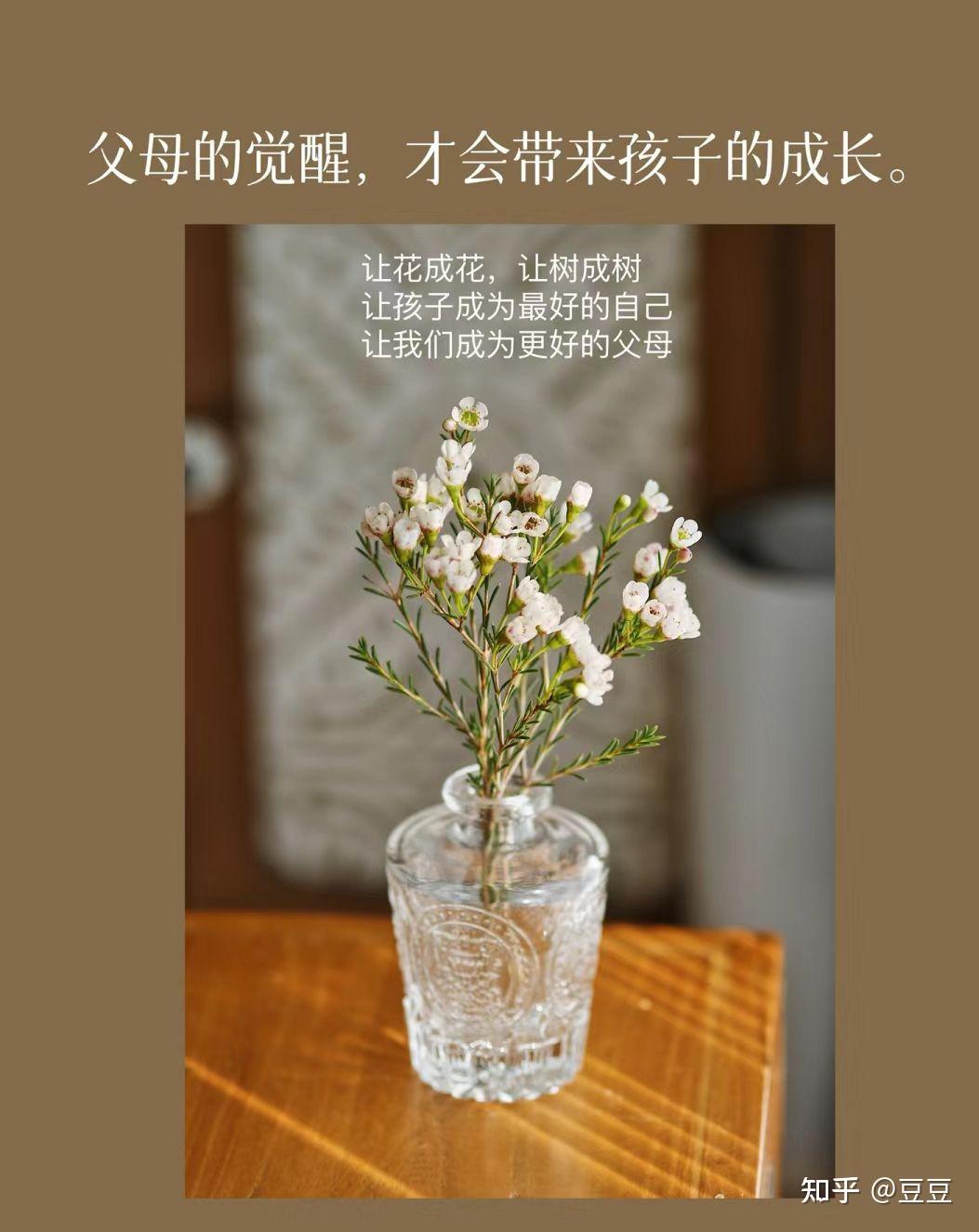 让花成花，让树成树 - 知乎