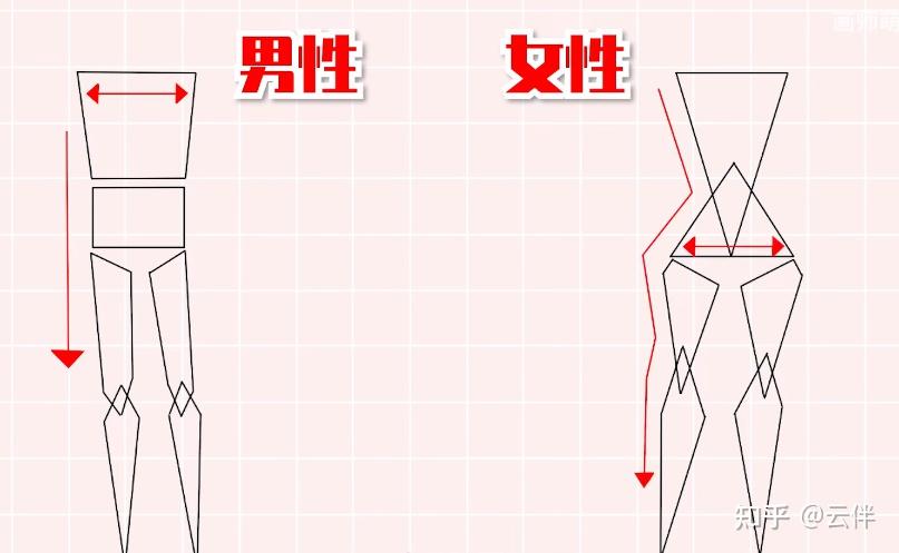 人體板繪教程人體板繪畫不好男女體型的差異畫法