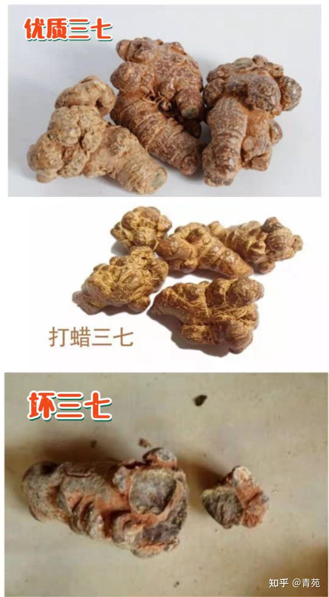 如何区分好坏三七及食用方法