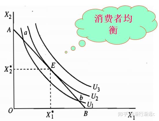 微觀經濟學消費者選擇