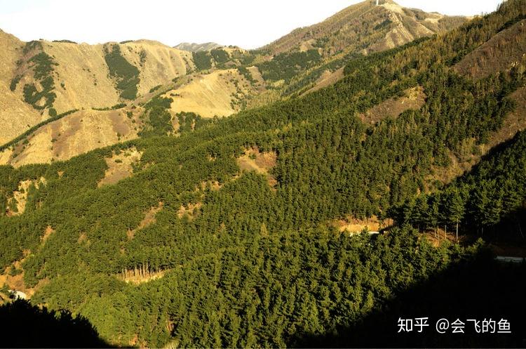 山西省大同市天镇县景点介绍 - 知乎