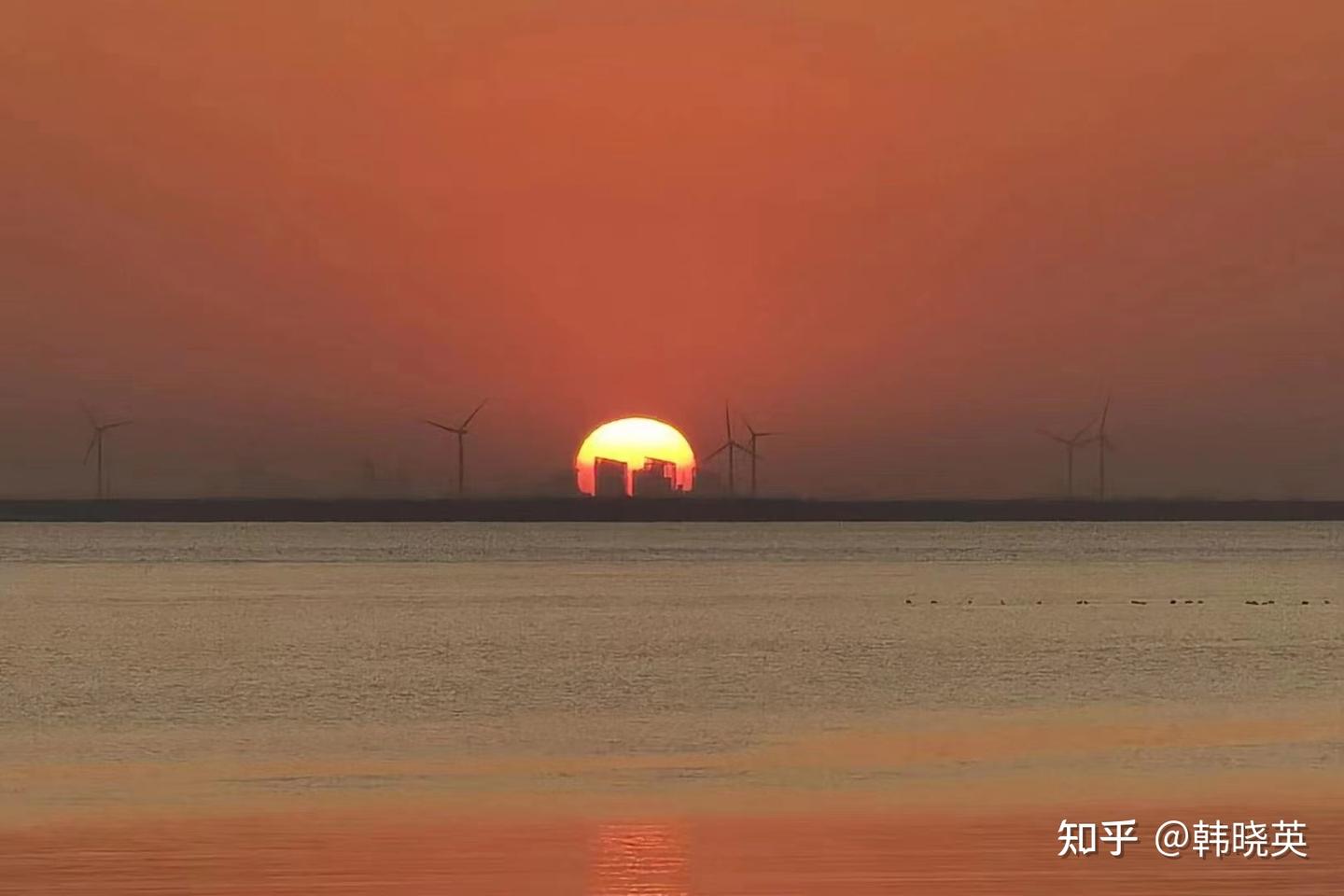 周末崇明岛两日游 - 知乎