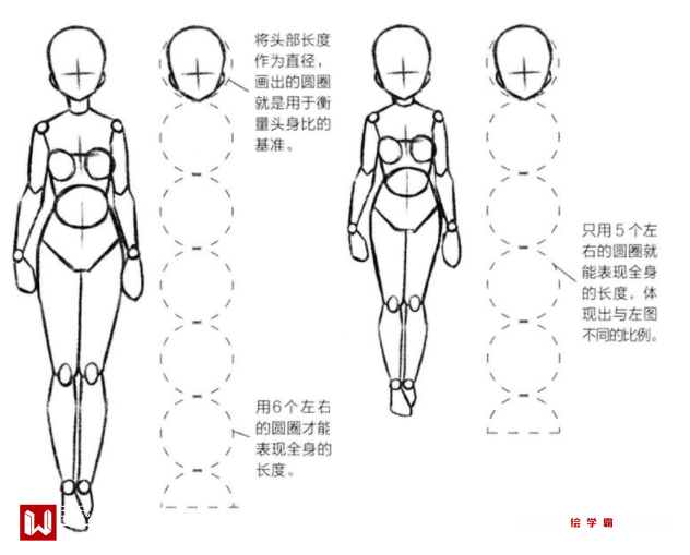 動漫人體的頭身比怎麼確定人體比例畫法教程