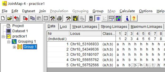 遗传作图软件Joinmap4.0使用方法 - 知乎