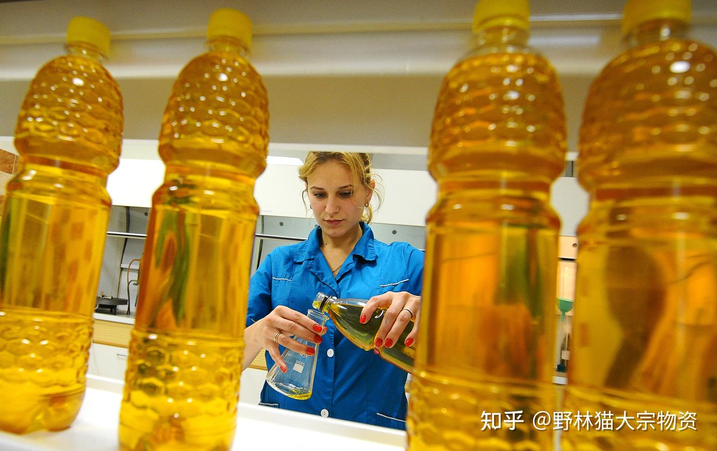 过山车式的俄罗斯葵花油价格- 知乎