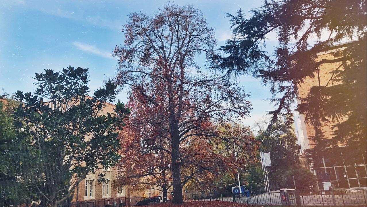 在墨爾本大學universityofmelbourne就讀是怎樣一番體驗