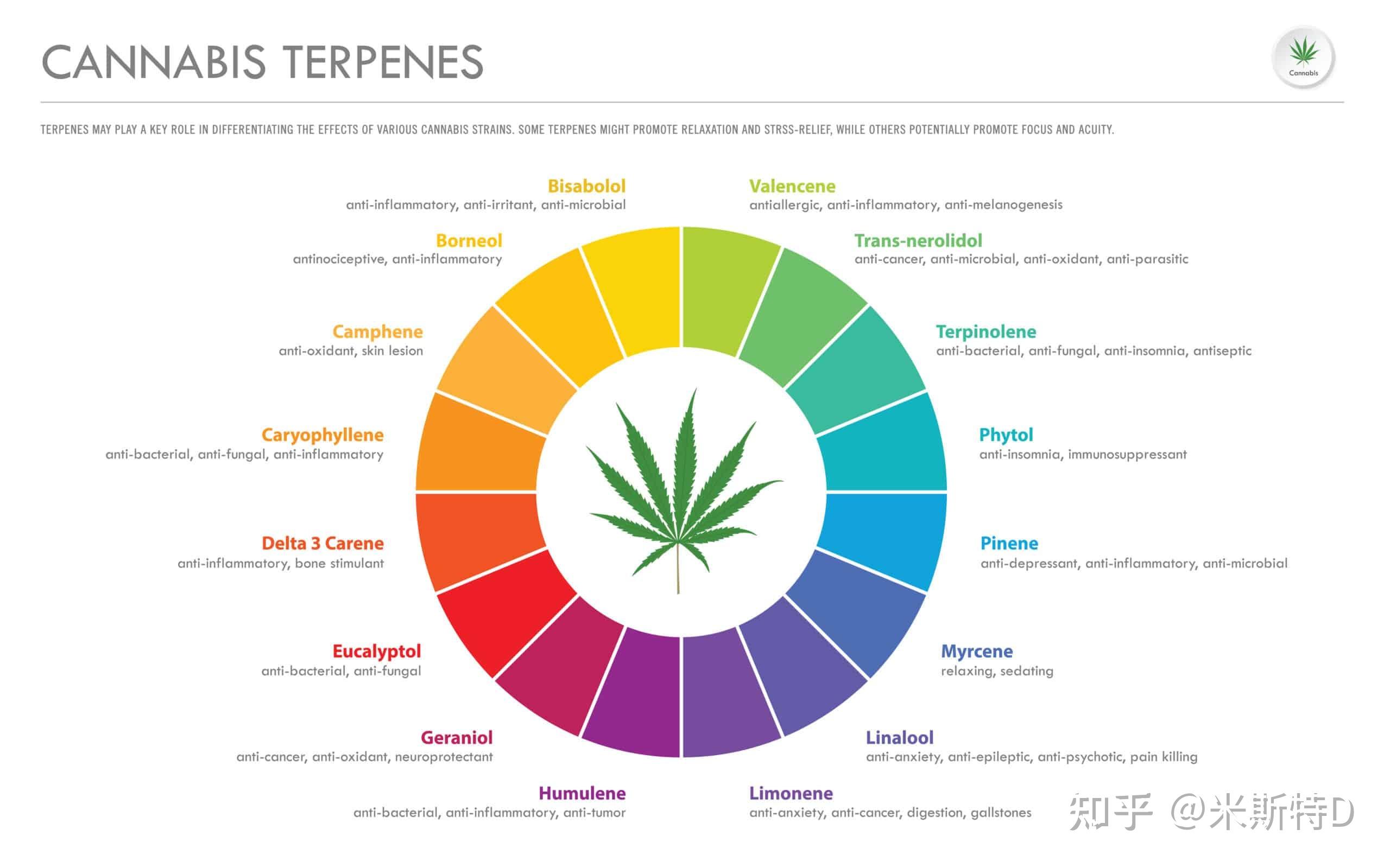 Terpenes   V2 Ad625ec422179e71e02e2c62b0407066 R 