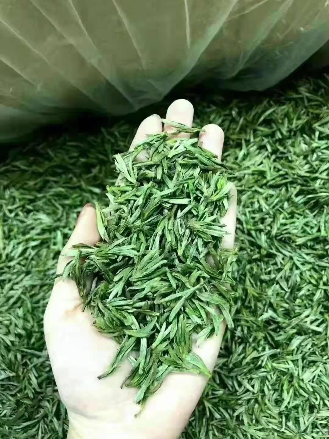 绿茶有哪些福建 v2-ad62f492f40803ec526ab5c34a0d4375_1440w.jpg?source=172ae18b