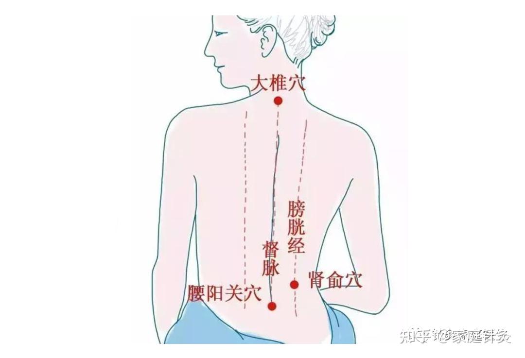 中医带你解锁「三伏天晒背」的正确方法 - 知乎