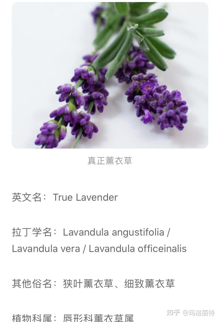 这问题其实很好验证,我看了下多家薰衣草瓶子观点一 正规精