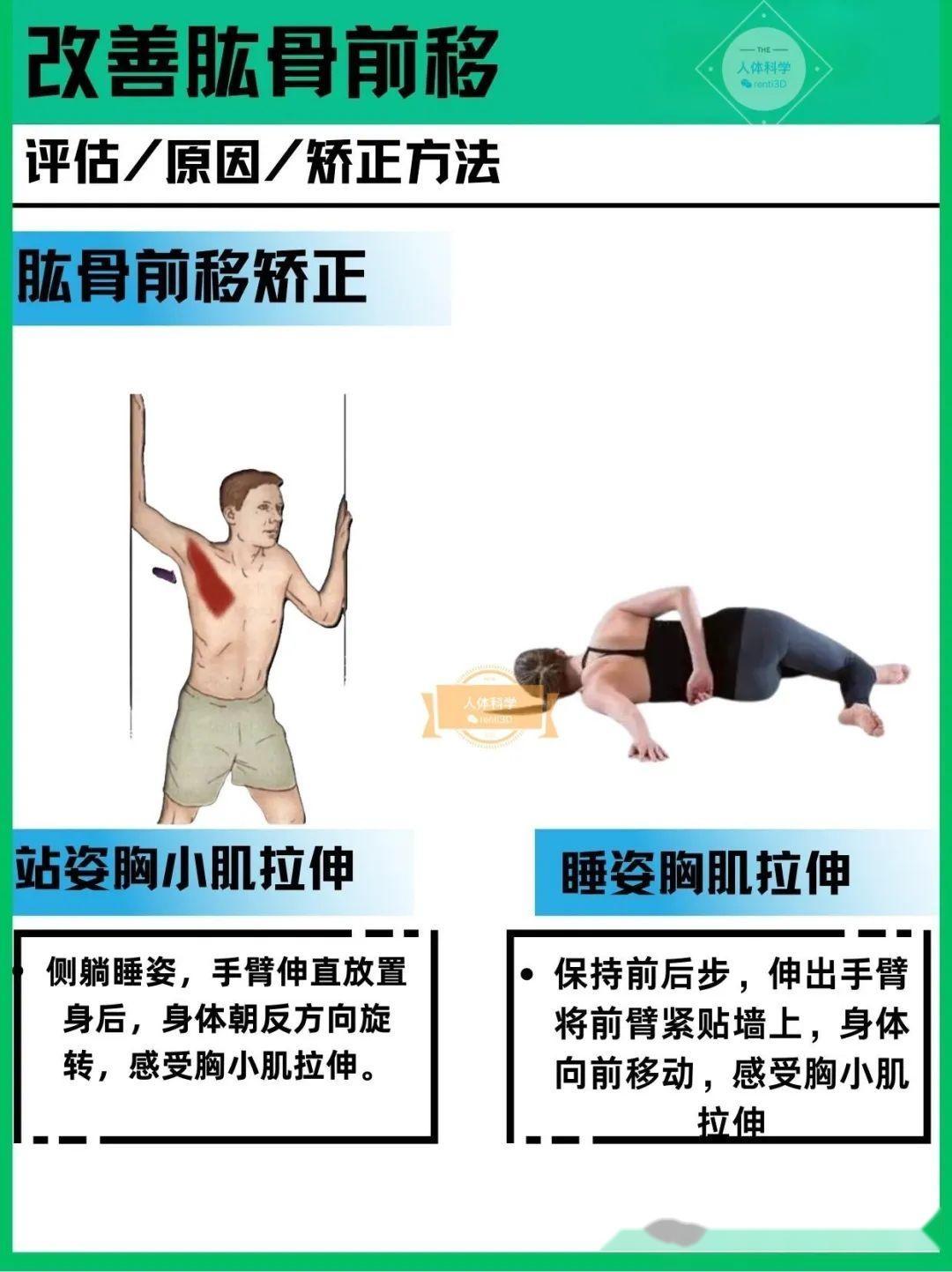 【肱骨前移】形成原因和自我改善方法 - 知乎