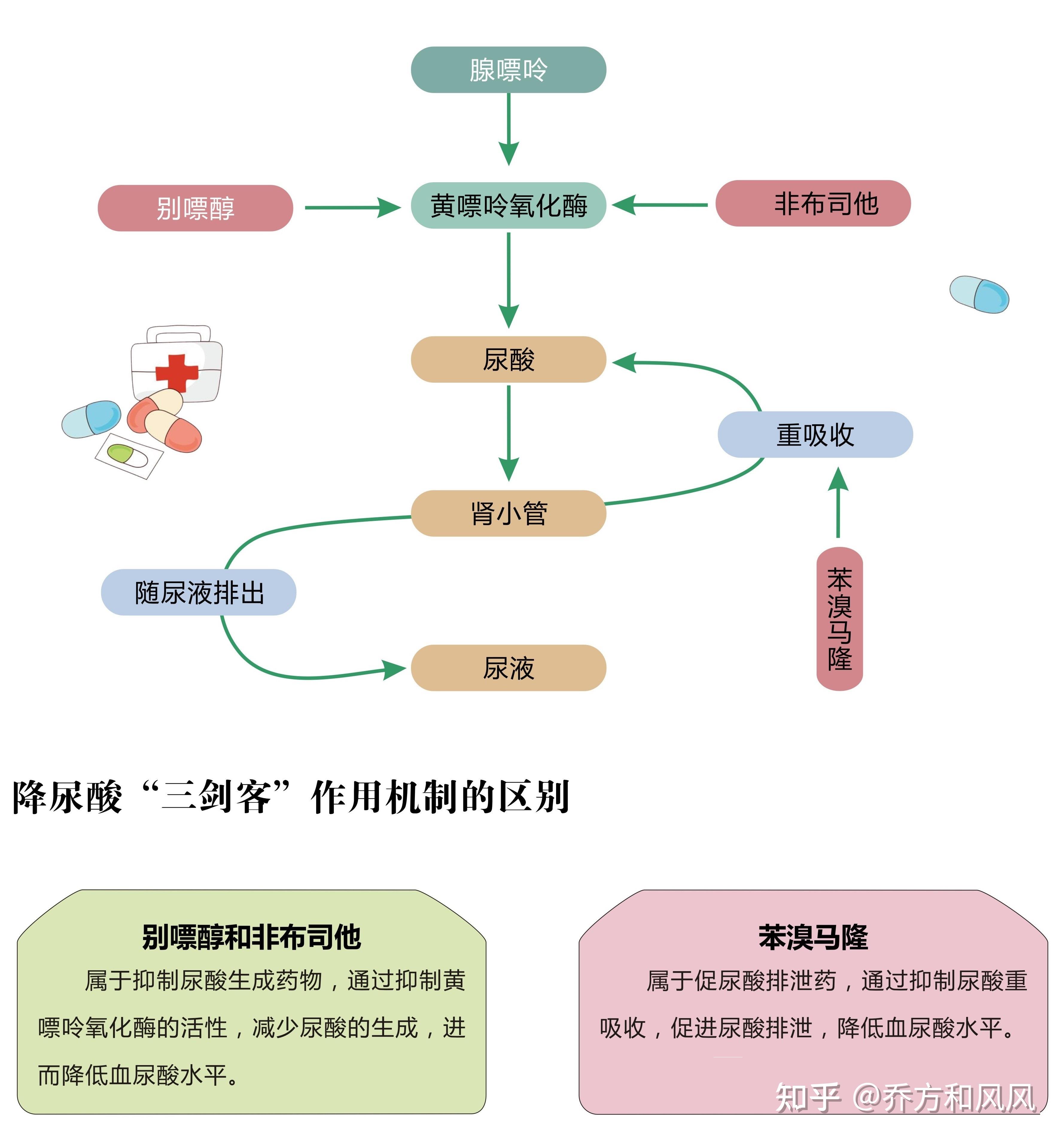 其根据个人情况不同要区别用药:抑制尿酸生成的药物:通过抑制嘌呤分解