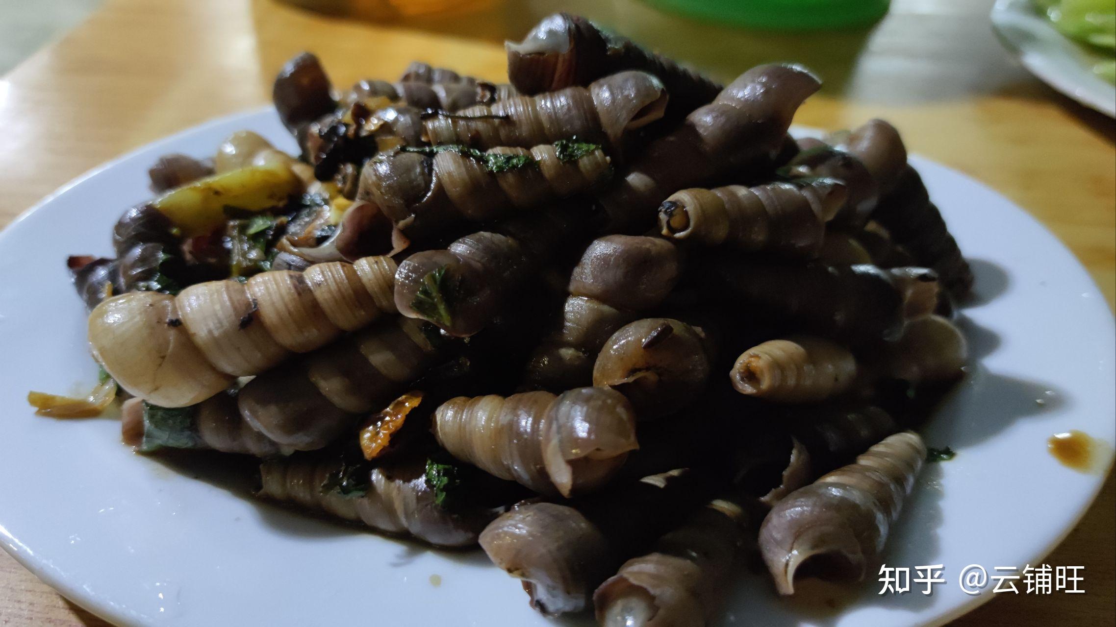 台山泥虫粥 - 知乎