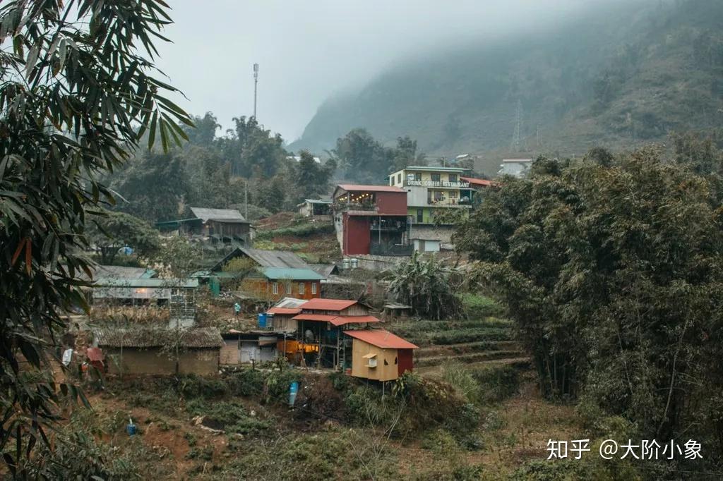 越南沙巴猫猫村图片图片