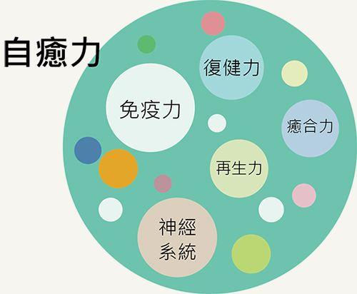 自愈力伴随你终身的朋友